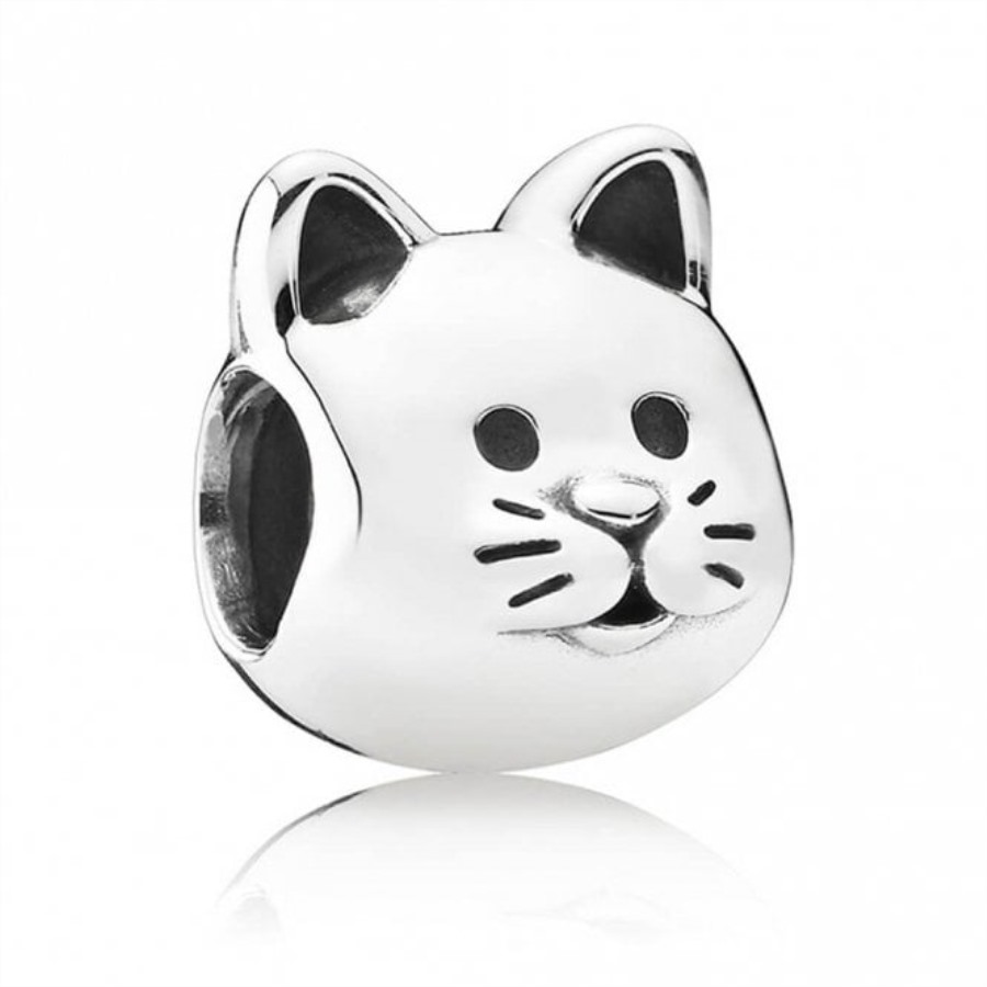 Nysgjerrig Katt Sjarmerer Pandora